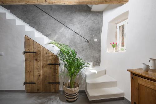 Casa Pharus – Photos 5