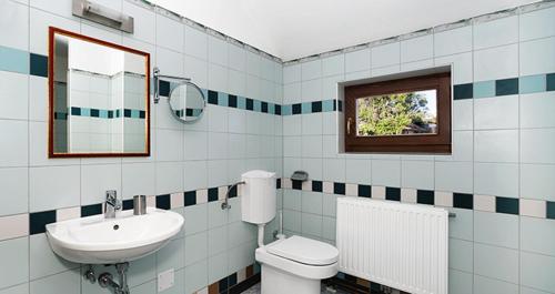 a bathroom with a sink and a toilet and a mirror at Tourist Farm Mali Raj in Dolenci