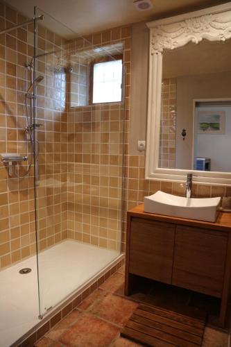 une salle de bain avec une douche, un lavabo et une baignoire dans l'établissement A L'orée Des Cévennes, à Aigremont