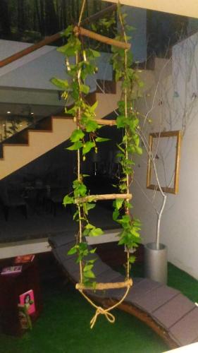 a plant growing on a ladder in a room at Quinta Salinas - Puro Prazer in Aveiro