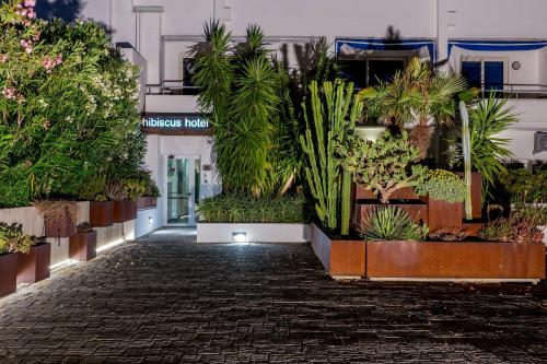 a building with a bunch of potted plants at Hotel Residence Hibiscus in La Caletta