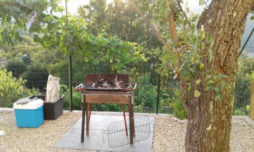 a barbecue grill sitting next to a tree at Agriturismo Nonni Devia in Lucinasco