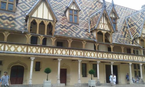 a large building with a tiled roof at Château De Serrigny in Ladoix Serrigny