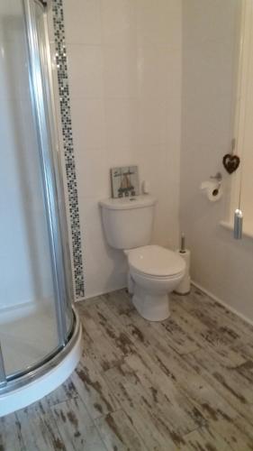 a bathroom with a toilet and a shower at Greencastle B&B in Kilkeel