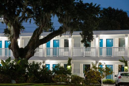 a white building with a tree in front of it at Southern Oaks Inn - Saint Augustine in Saint Augustine