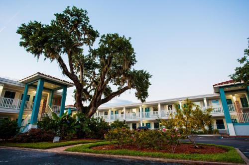 a large building with a tree in front of it at Southern Oaks Inn - Saint Augustine in Saint Augustine