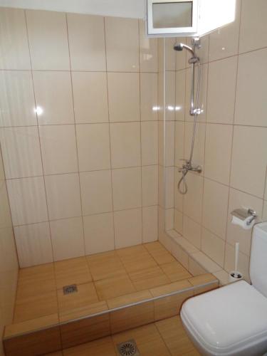 a bathroom with a shower with a toilet at Vergina Pension in Sarti