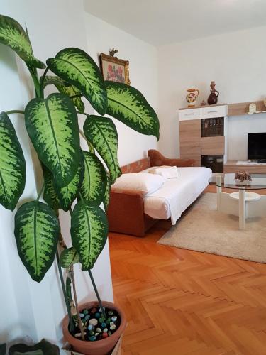 Postel nebo postele na pokoji v ubytování Apartment Marija & Iko