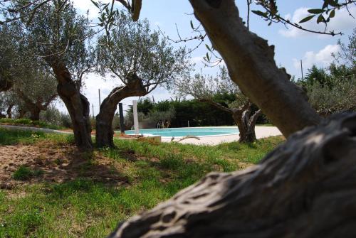 The swimming pool at or near In Sicilia da Ciro