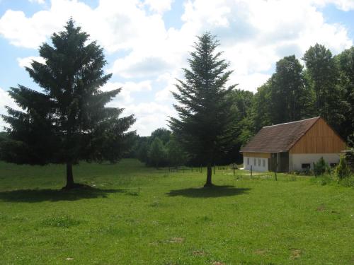 zwei Bäume auf einem Feld neben einer Scheune in der Unterkunft Gite De La Distillerie in Arçon