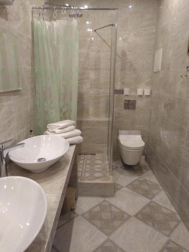 a bathroom with a sink and a shower and a toilet at Meždzirnas Country House & SPA in Kabile
