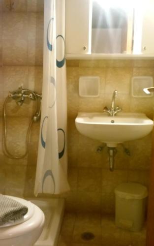 y baño con lavabo, aseo y cortina de ducha. en CHRYSPY Toulatos Studios, en Pouláta