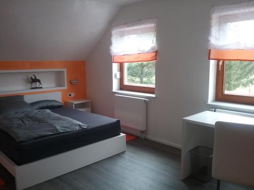 1 dormitorio con 1 cama, escritorio y 2 ventanas en Gästezimmer Heßdorf en Heßdorf