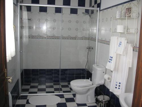 a bathroom with a shower and a toilet and a sink at H&AP Rural Merrutxu in Ibarrangelu
