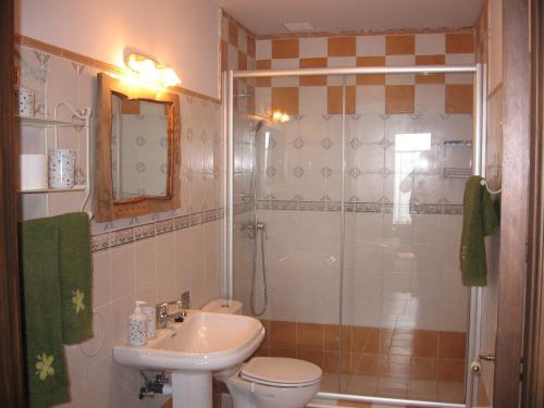 a bathroom with a shower and a toilet and a sink at H&AP Rural Merrutxu in Ibarrangelu