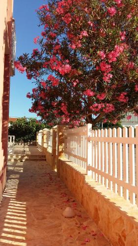 una cerca blanca y un árbol con flores rosas en Apartments Marija, en Zadar