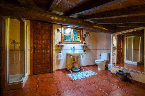 a bathroom with a toilet and a shower and a window at Casa Rural Finca Umbría in Plasencia