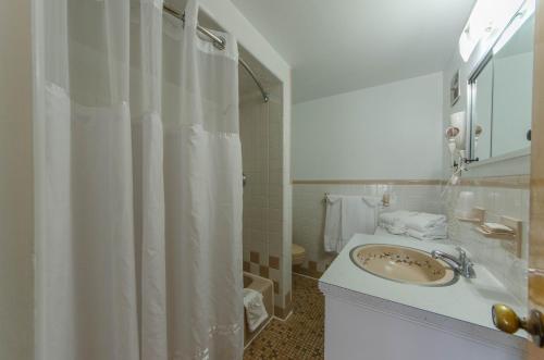 Koupelna v ubytování Attache Motel