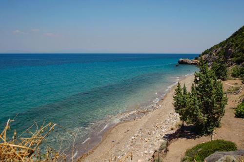 a beach with trees on the shore of the water at Athina Studios in Ágios Dimítrios