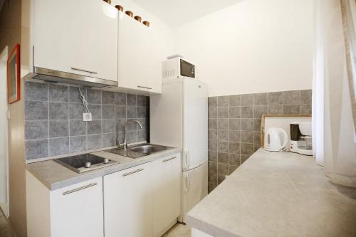 Biała kuchnia ze zlewem i lodówką w obiekcie Villa Goga w mieście Vir