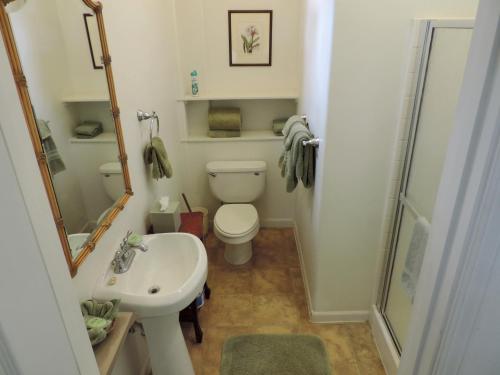 a bathroom with a toilet and a sink and a mirror at Hale Pua Villa - Hibiscus Suite in Koloa