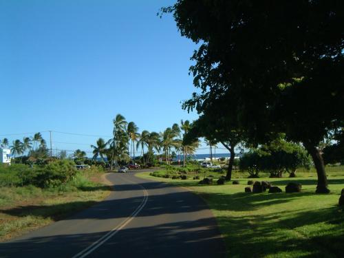 a road with palm trees on the side of a street at Hale Pua Villa - Hibiscus Suite in Koloa