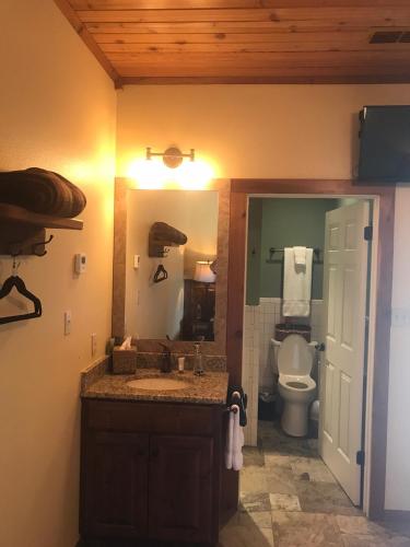 a bathroom with a sink and a toilet and a mirror at Joshua Creek Ranch in Boerne