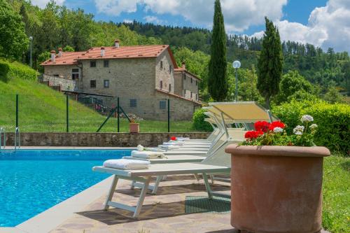 a row of lounge chairs next to a swimming pool at Agriturismo Casapasserini in Londa