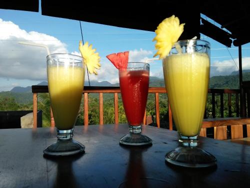 two glasses of juice sitting on a table at Menjangan View in Banyuwedang