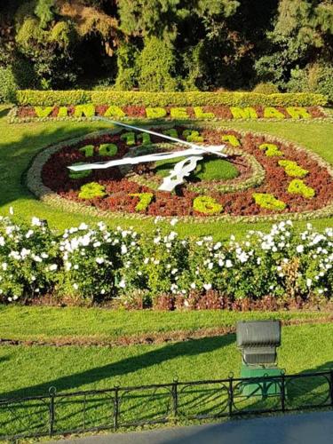 Giardino di Apartamento Boutique Viña del Mar