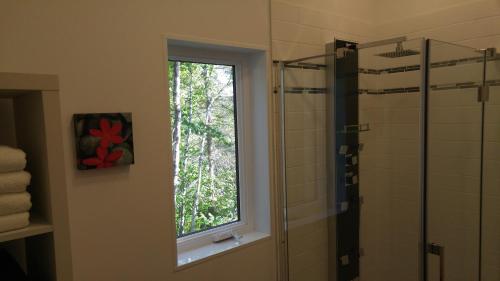 a bathroom with a shower and a window at Résidence touristique Lodge des Bois in Saint-Félix-d'Otis