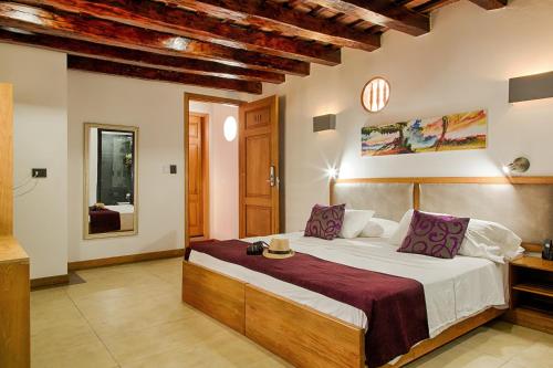 ein Schlafzimmer mit einem großen Bett in einem Zimmer in der Unterkunft Hotel Boutique Casa Carolina in Santa Marta