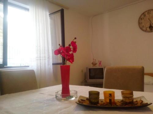 a red vase with red flowers on a table at Apartment Kotor-Andrija Jovanovic in Kotor