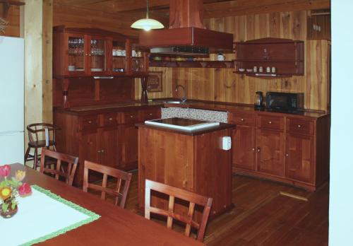 Η κουζίνα ή μικρή κουζίνα στο Apartmán ve Skanzenu