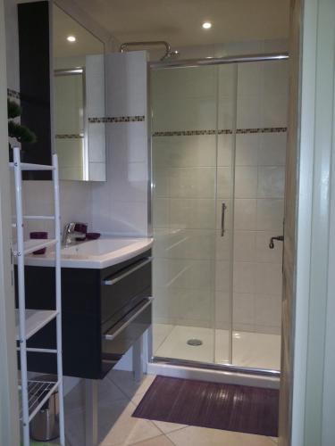 une salle de bain avec une douche en verre et un lavabo dans l'établissement Bastide Marie Antoinette, à La Colle-sur-Loup