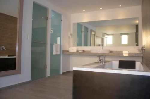 uma casa de banho com um lavatório e um espelho grande em Hangar Inn Guadalajara Aeropuerto em Guadalajara