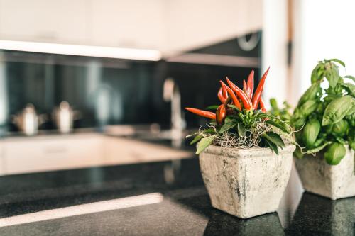 two potted plants on a counter in a kitchen at Lüch de Costa in Colfosco