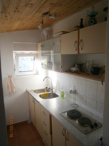 a kitchen with a sink and a counter top at Apartment Anka in Savar
