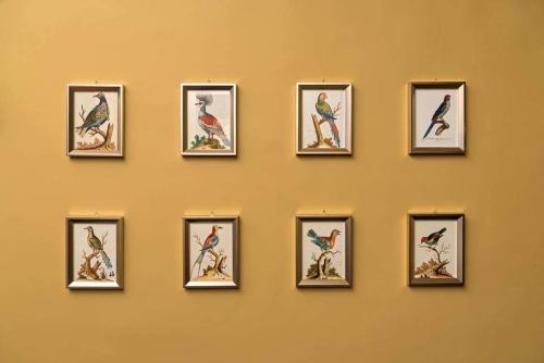 a wall with nine framed pictures of birds at Torre Di Vico Residenza D'Epoca in Viterbo