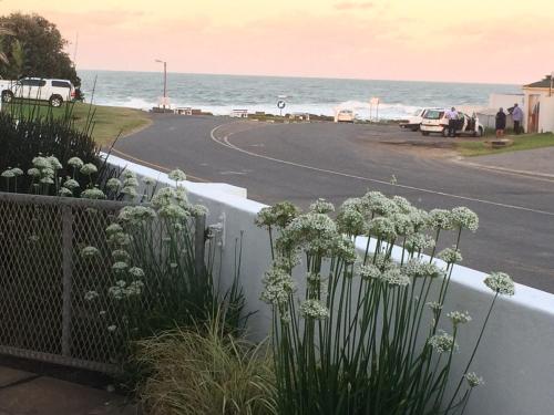 a fence with white flowers on the side of a road at Breeze Inn Guesthouse in Kiddʼs Beach