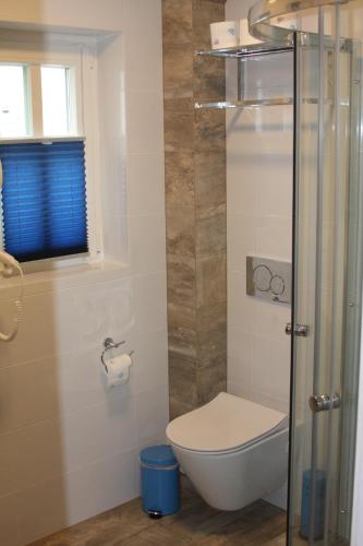 ウストカにあるWilla Pod Zaglamiのバスルーム(トイレ、ガラス張りのシャワーブース付)