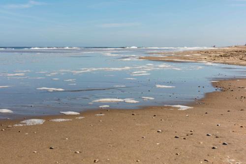a sandy beach with ice in the water at Hotel de Baak Seaside in Noordwijk aan Zee