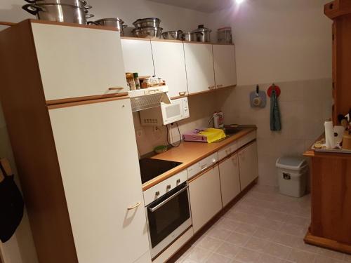 Kuchyň nebo kuchyňský kout v ubytování Guest house Dinka
