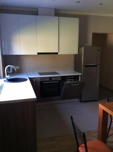 a kitchen with a sink and a refrigerator at Maza Krumu 28 in Rīga