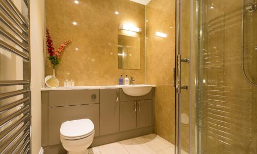 a bathroom with a toilet and a sink and a shower at Hill Of Oaks in Windermere