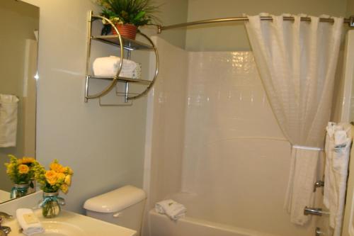 a bathroom with a shower and a toilet and a sink at Affordable Suites Jacksonville in Jacksonville