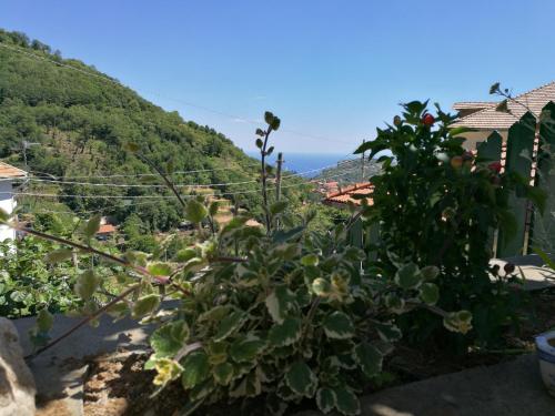a view of a hill with the ocean in the background at Songbird in Agerola