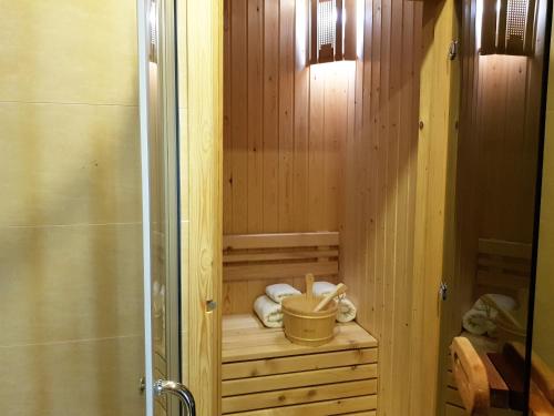 a bathroom with a sauna with a sink and a shower at Crystal Town House in Bakuriani