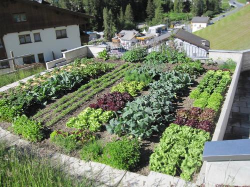 una vista aérea de un jardín con verduras en Chasa Valetta en Samnaun