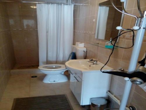 a bathroom with a toilet and a sink and a shower at House Nada in Donji Babin Potok